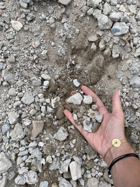 Eco-grave 0/31.5 Béton