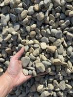 Notre zone d'activité pour ce service Prix pour le curage d'un étang à Biscarrosse (40600), Landes, Nouvelle-Aquitaine