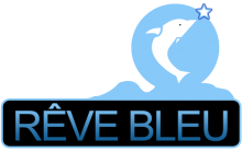 Création de Piscine Gironde REVE BLEU